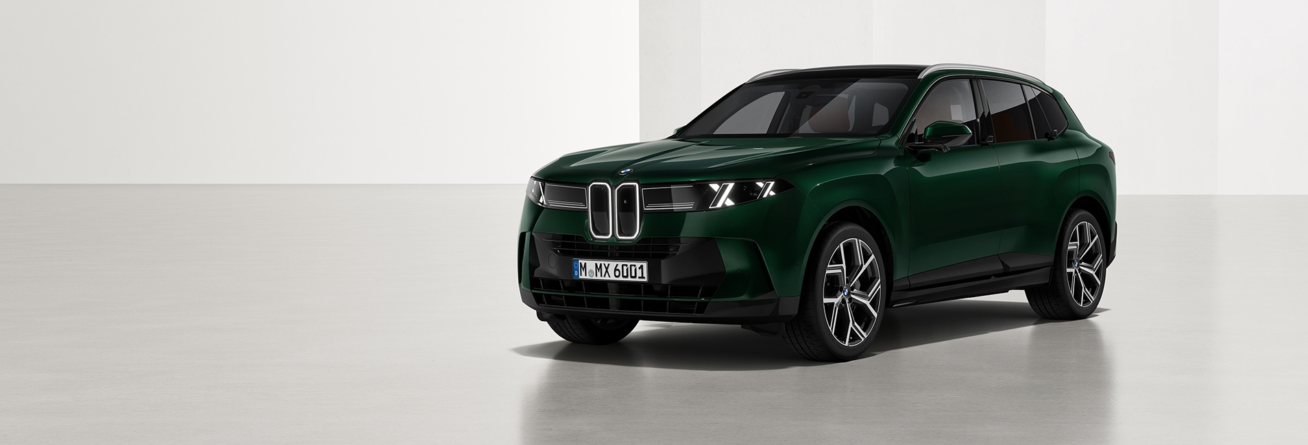 NEW BMW X5