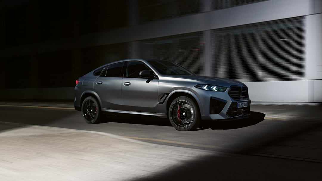 Professional қаңтару ассистенті